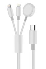 Multi-functional charging cable with various connectors.